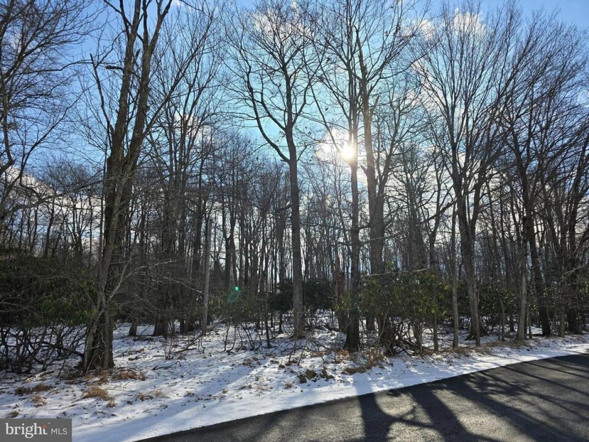 Picture of Residential Land For Sale in Pocono Summit, Pennsylvania, United States