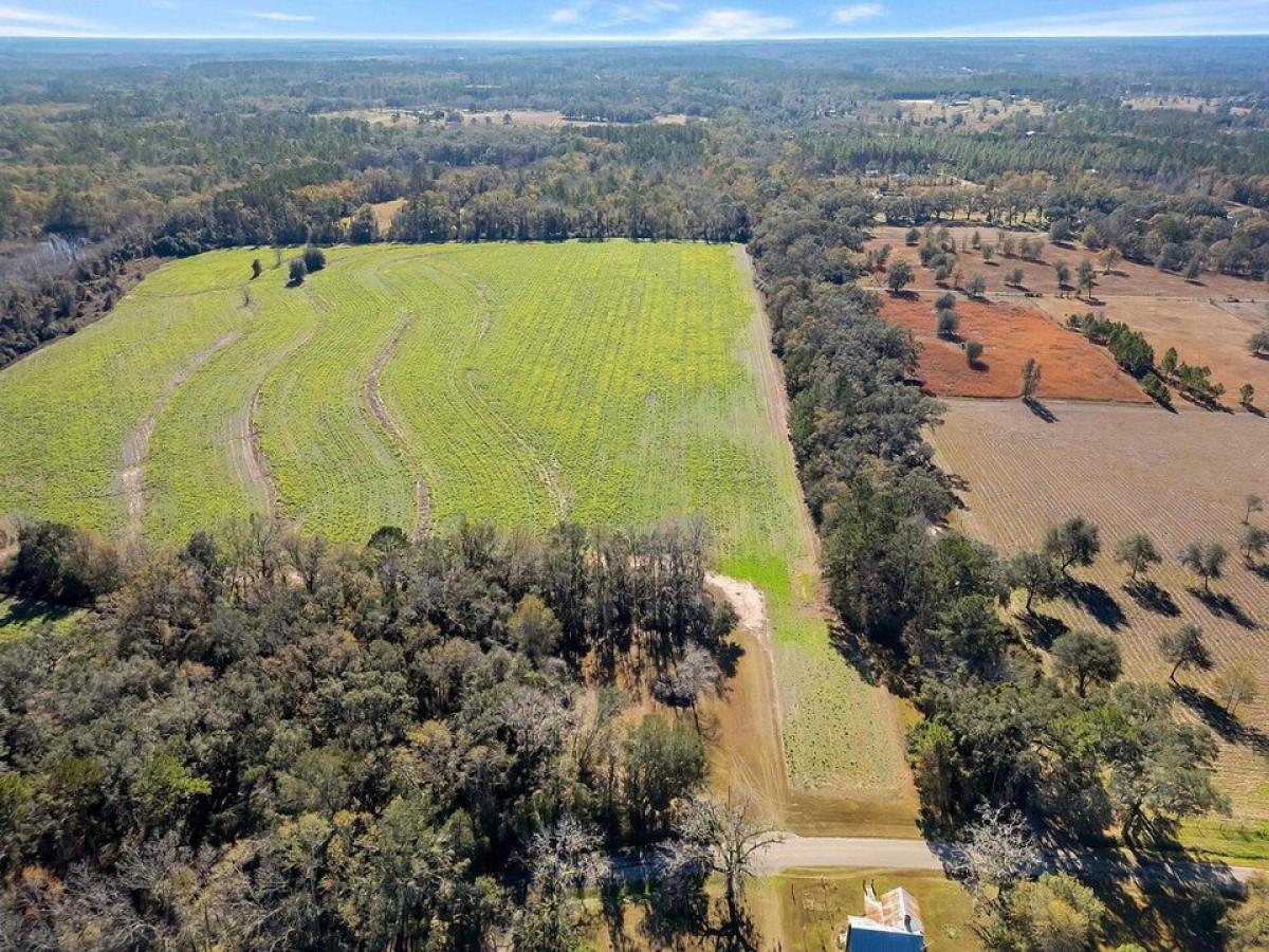 Picture of Residential Land For Sale in Monticello, Florida, United States