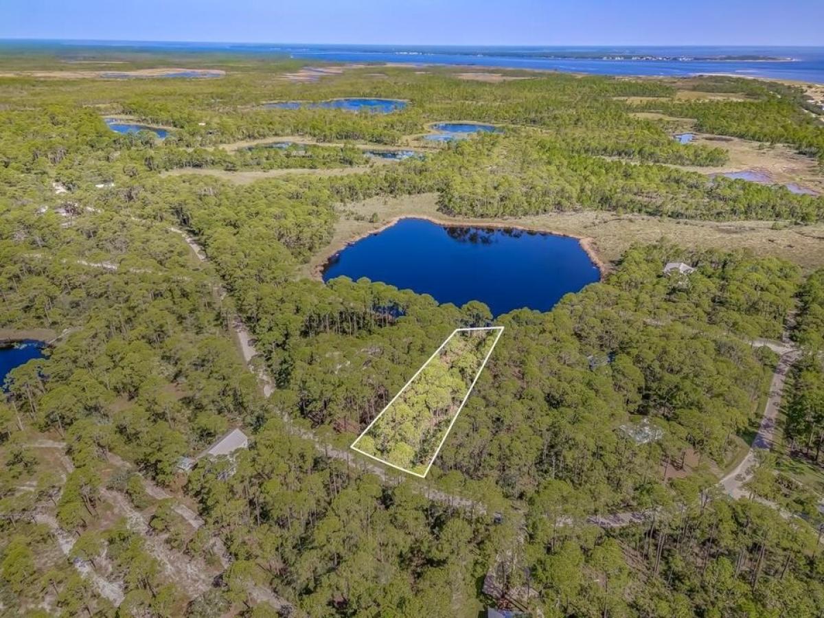 Picture of Residential Land For Sale in Alligator Point, Florida, United States