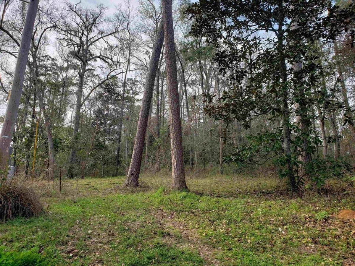 Picture of Residential Land For Sale in Tallahassee, Florida, United States