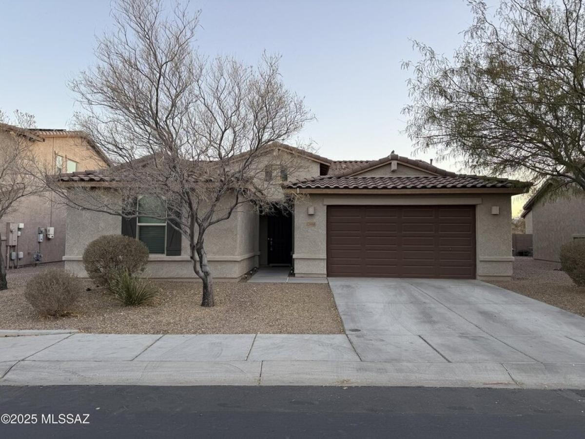 Picture of Home For Rent in Marana, Arizona, United States