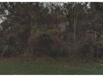 Residential Land For Sale in Saint Augustine, Florida