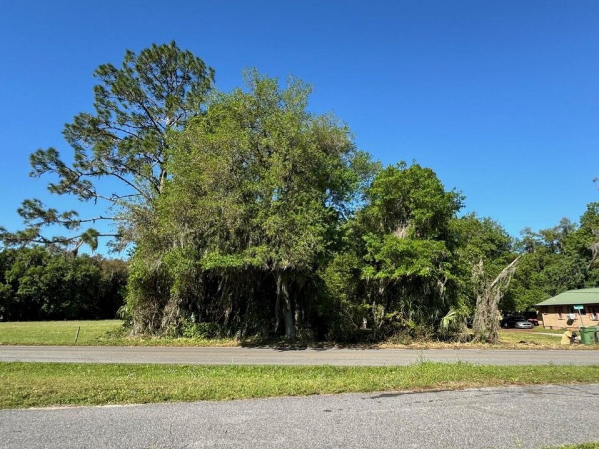 Picture of Residential Land For Sale in East Palatka, Florida, United States