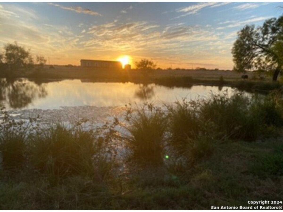 Picture of Farm For Sale in Charlotte, Texas, United States