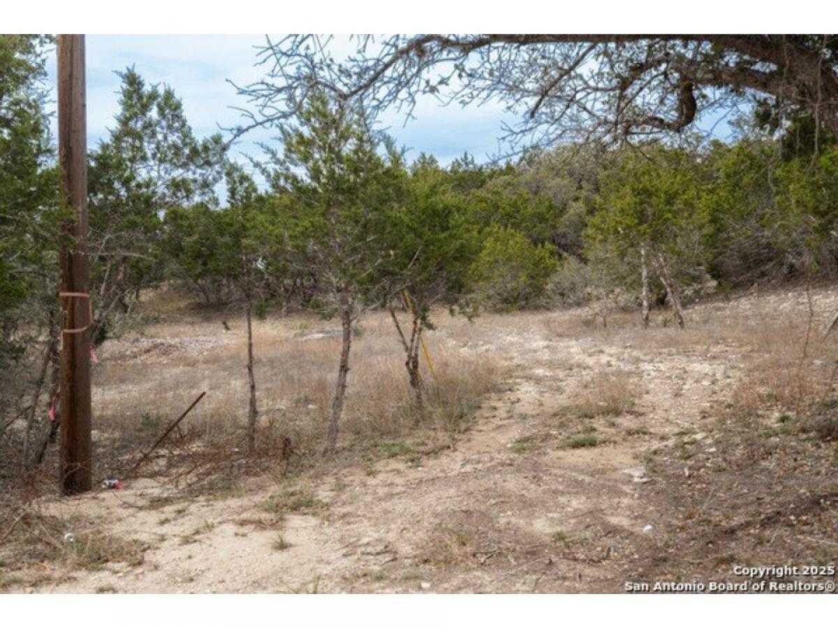 Picture of Residential Land For Sale in Spring Branch, Texas, United States