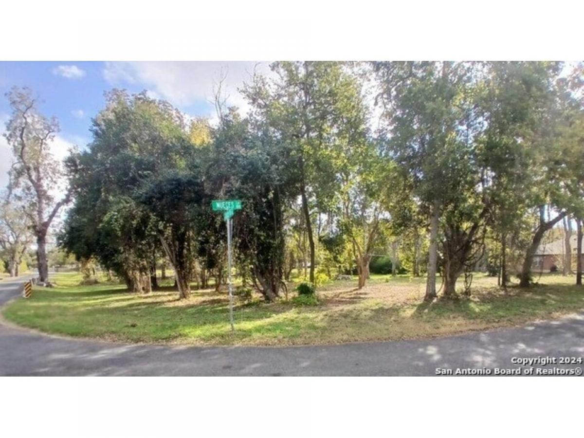 Picture of Residential Land For Sale in Seguin, Texas, United States