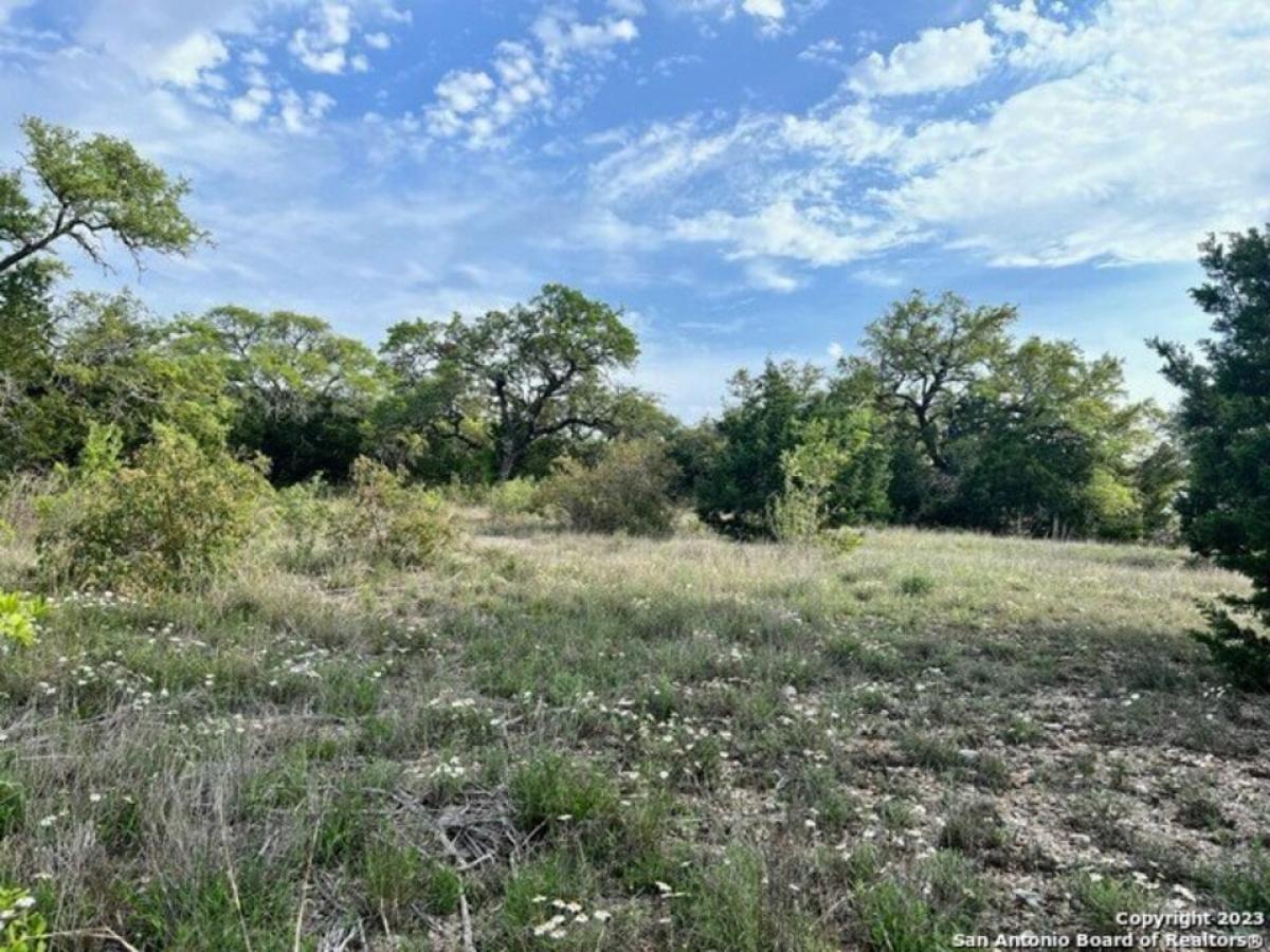 Picture of Residential Land For Sale in San Antonio, Texas, United States