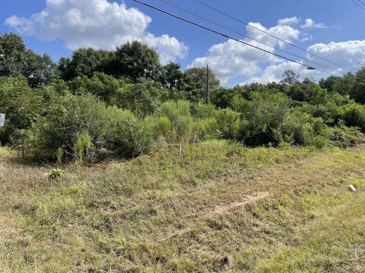 Picture of Home For Sale in Hockley, Texas, United States