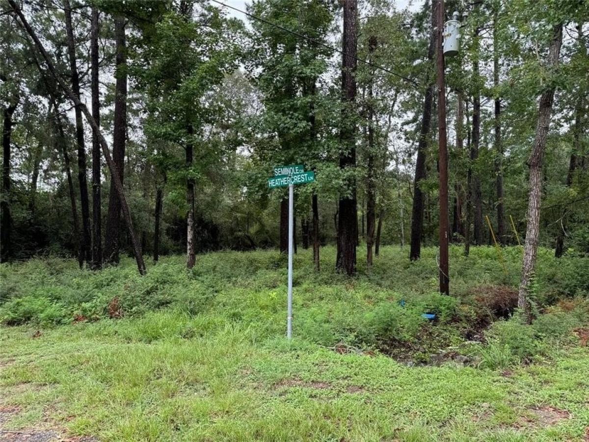 Picture of Residential Land For Sale in Onalaska, Texas, United States