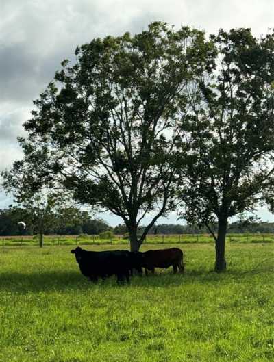 Farm For Sale in Guy, Texas