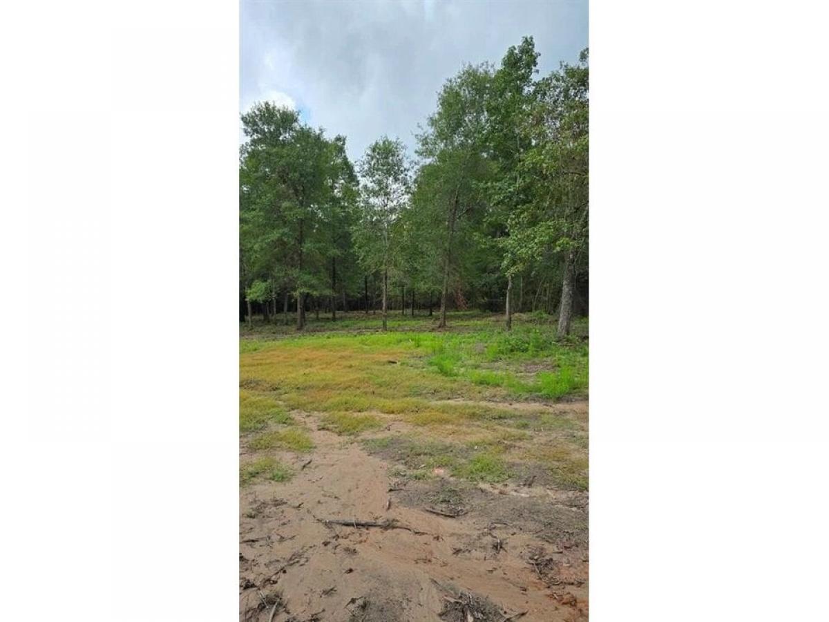 Picture of Residential Land For Sale in Montgomery, Texas, United States