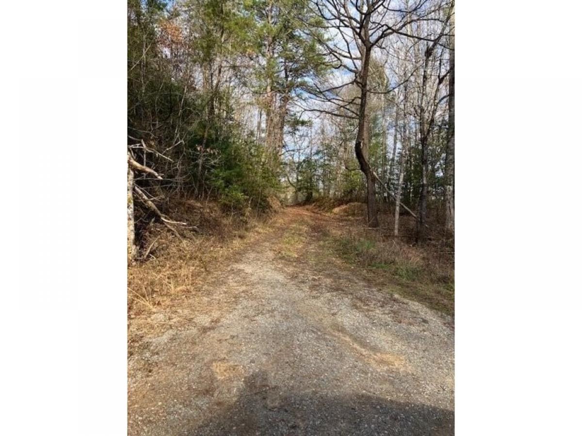 Picture of Residential Land For Sale in Turtletown, Tennessee, United States