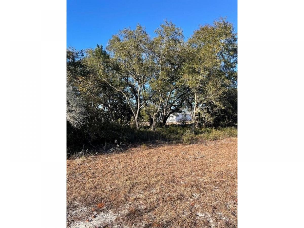 Picture of Residential Land For Sale in Lanark Village, Florida, United States