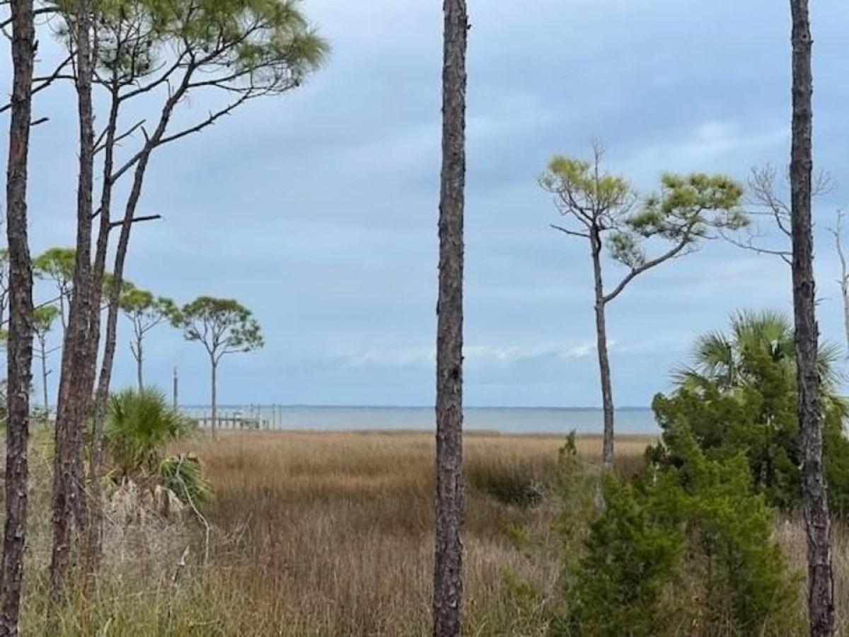 Picture of Residential Land For Sale in Port Saint Joe, Florida, United States