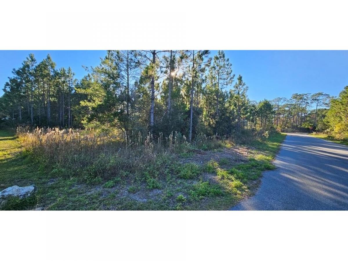 Picture of Residential Land For Sale in Carrabelle, Florida, United States