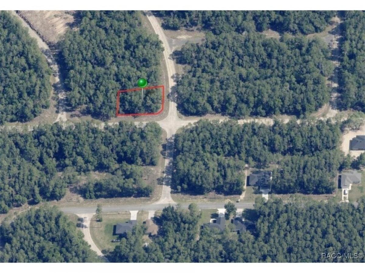 Picture of Residential Land For Sale in Citrus Springs, Florida, United States