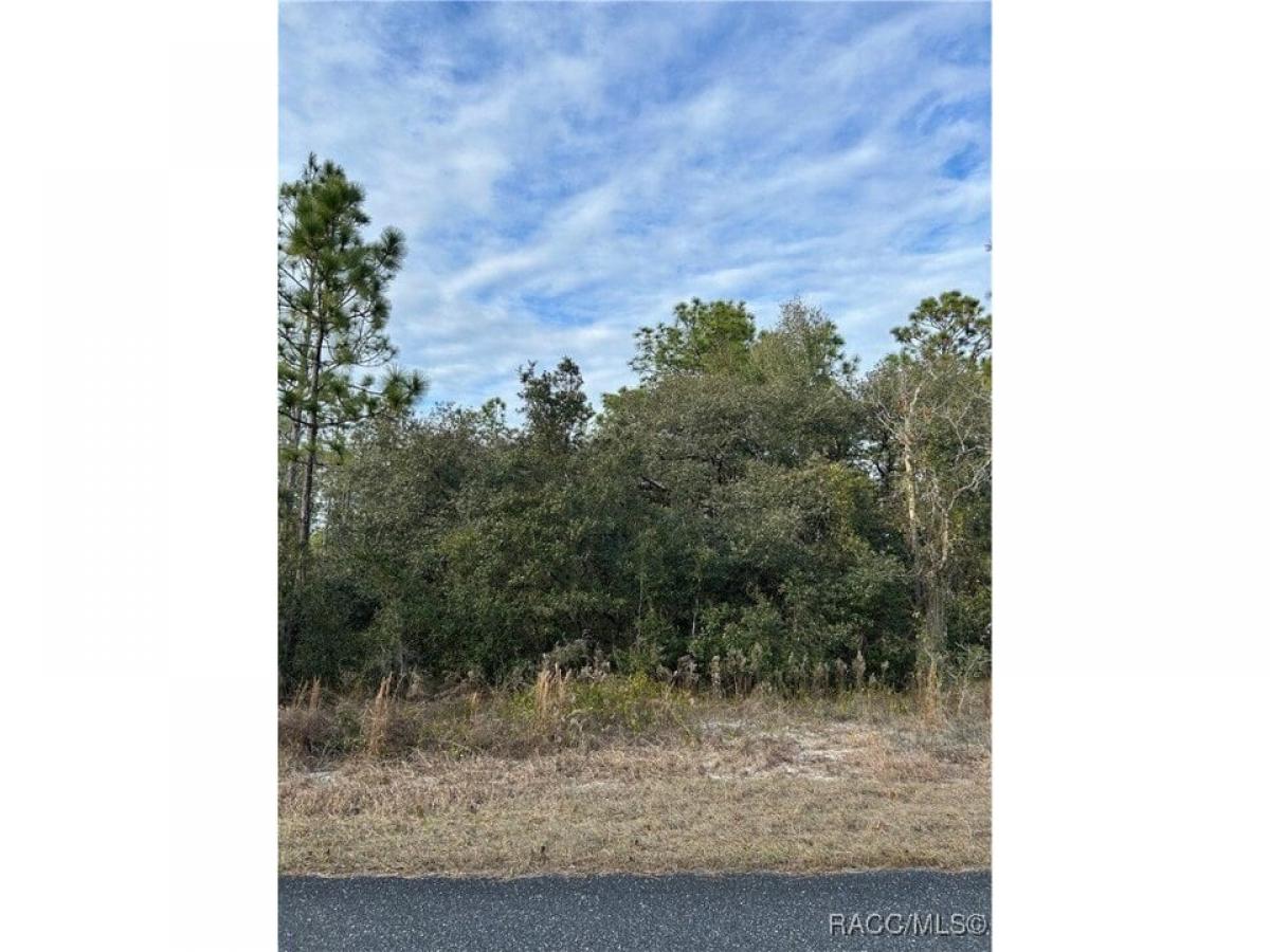 Picture of Residential Land For Sale in Dunnellon, Florida, United States