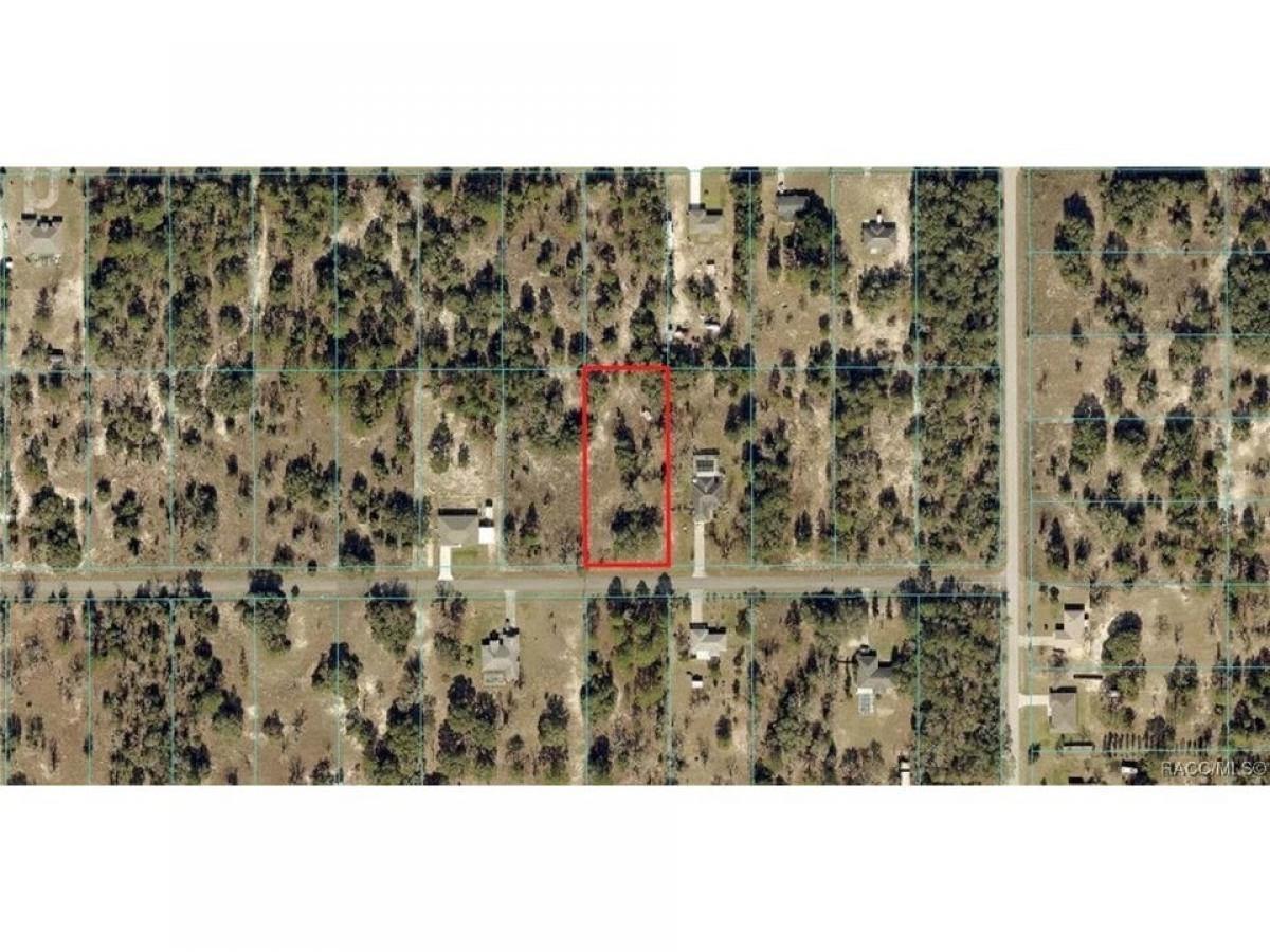 Picture of Residential Land For Sale in Dunnellon, Florida, United States