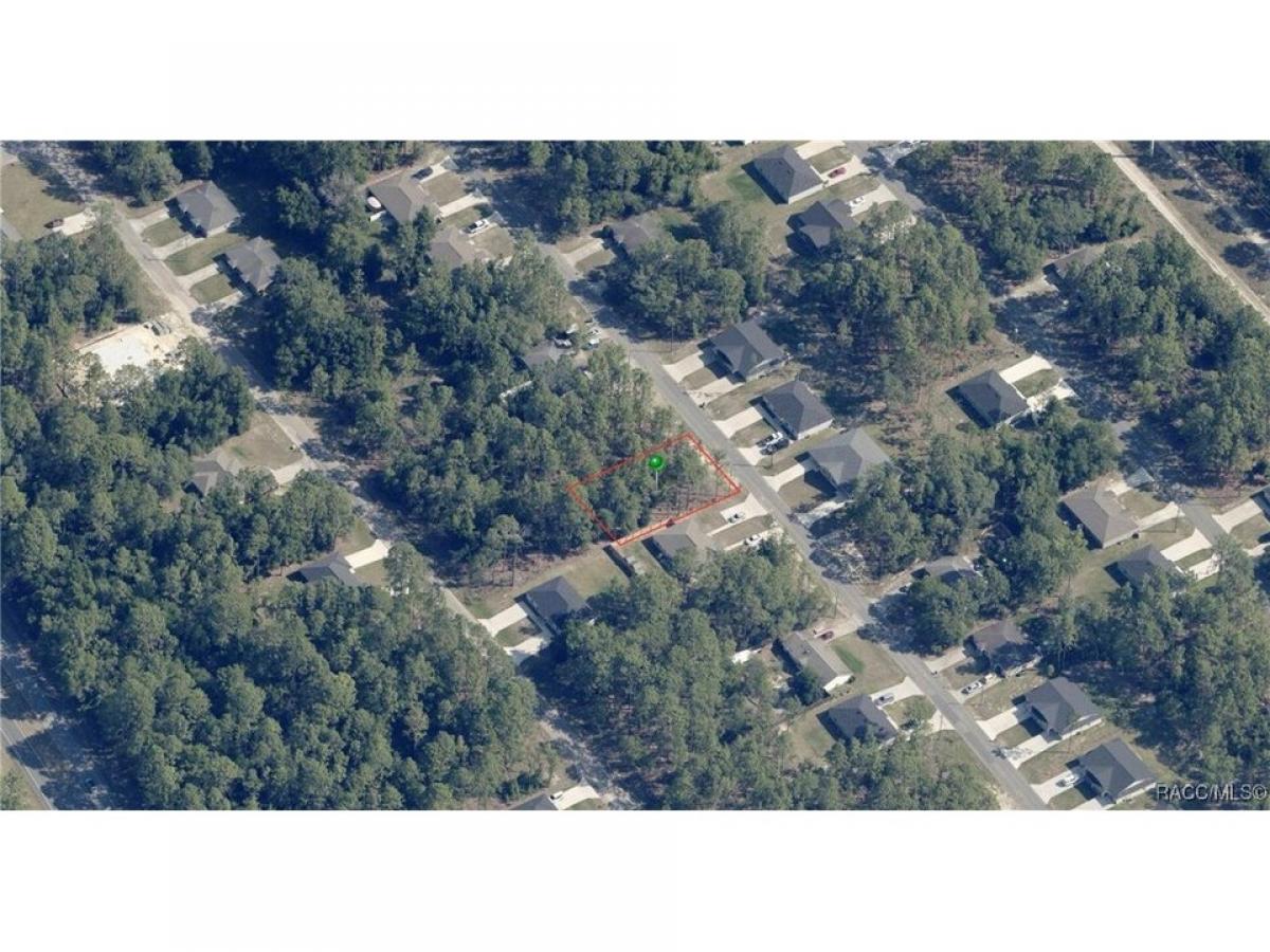 Picture of Residential Land For Sale in Citrus Springs, Florida, United States