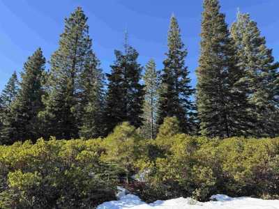 Residential Land For Sale in Lake Almanor, California