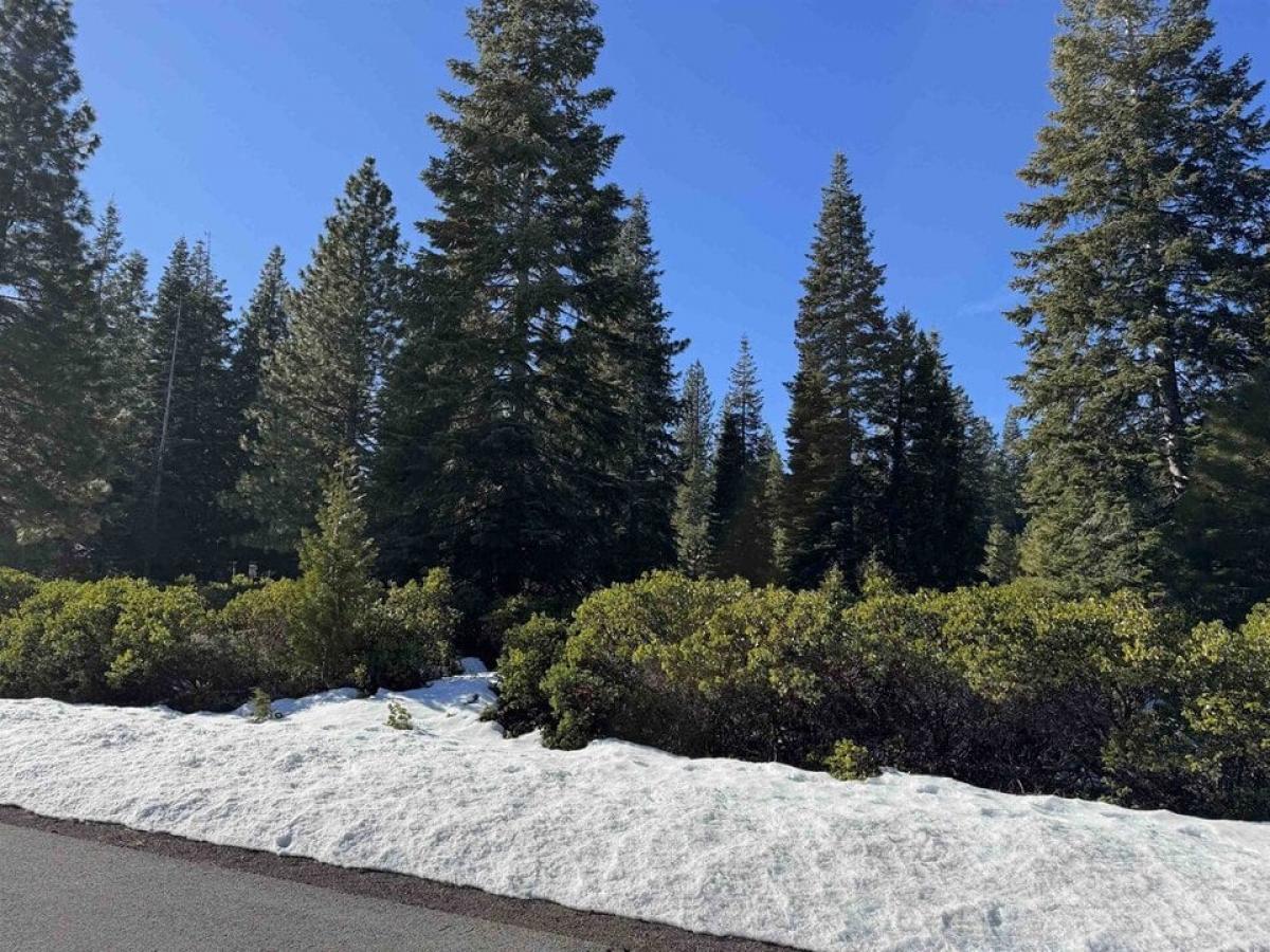 Picture of Residential Land For Sale in Lake Almanor, California, United States