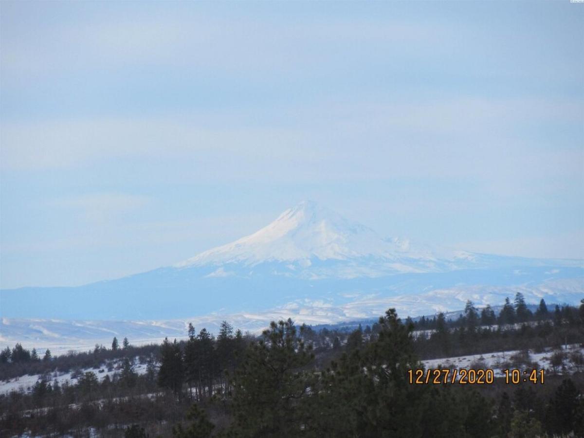 Picture of Residential Land For Sale in Goldendale, Washington, United States