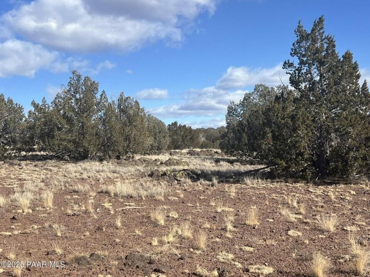 Picture of Residential Land For Sale in Ash Fork, Arizona, United States