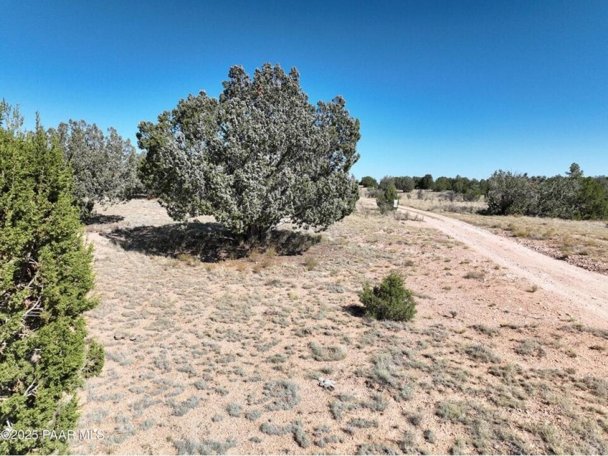 Picture of Residential Land For Sale in Seligman, Arizona, United States