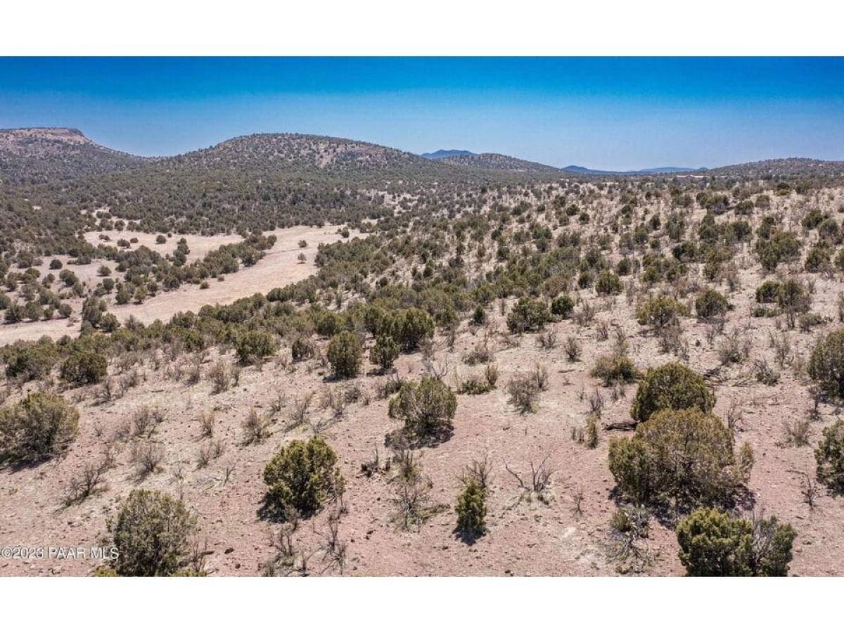 Picture of Residential Land For Sale in Chino Valley, Arizona, United States