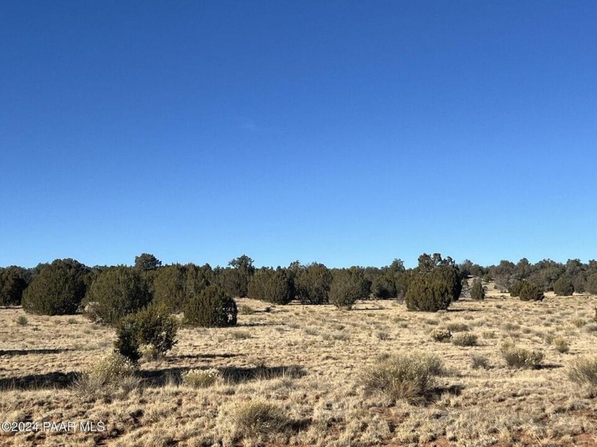 Picture of Residential Land For Sale in Seligman, Arizona, United States