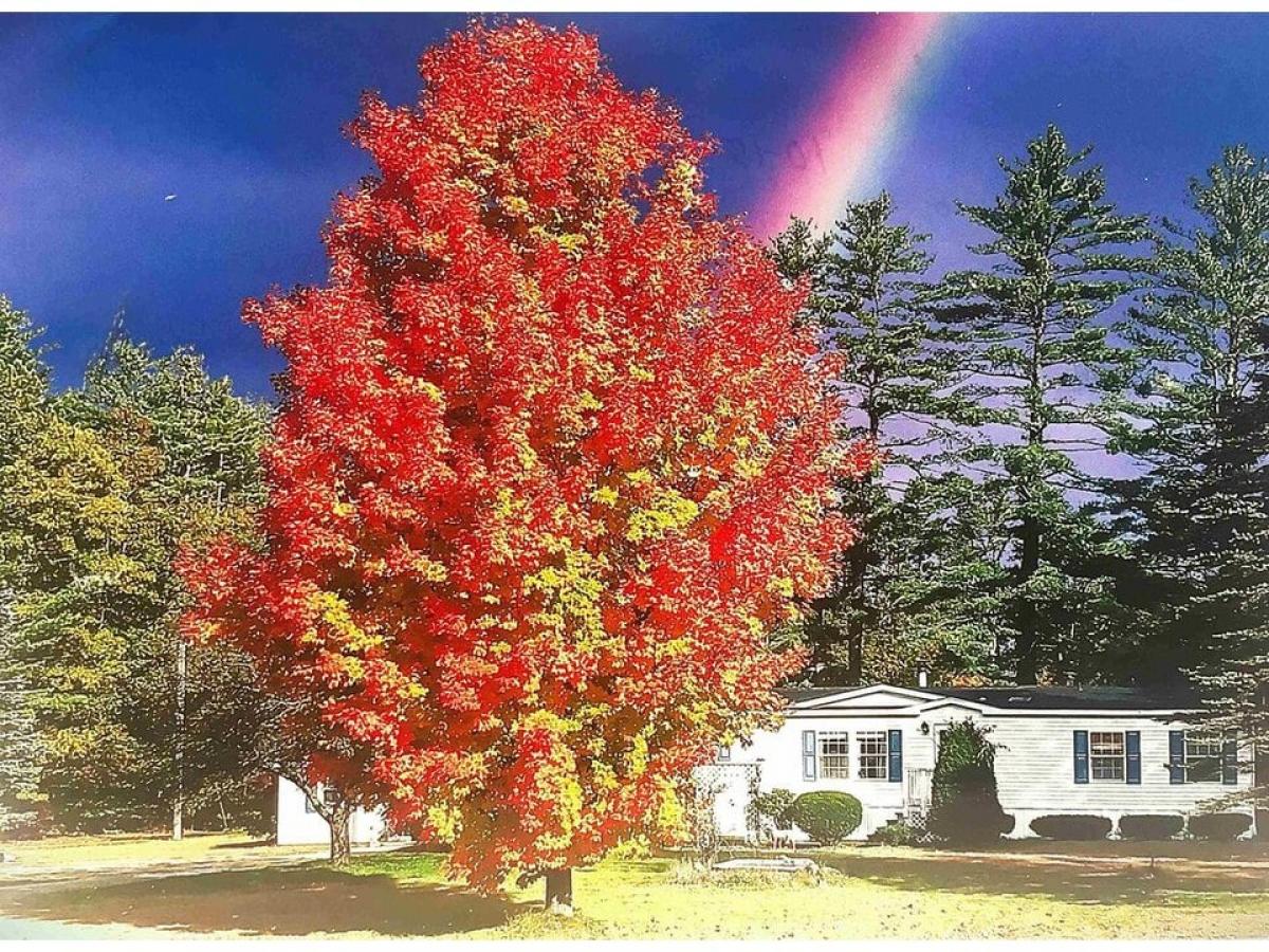 Picture of Home For Sale in Belmont, New Hampshire, United States