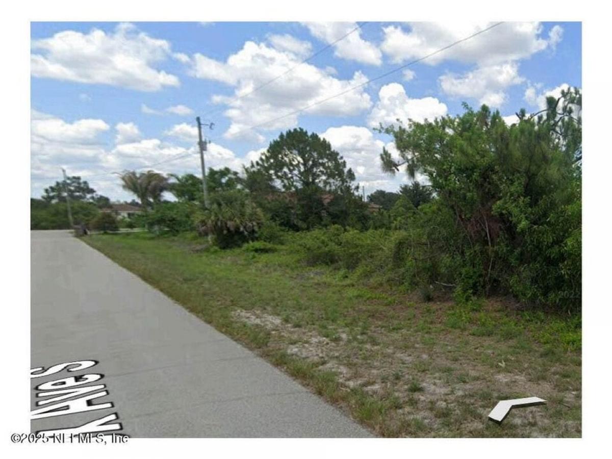 Picture of Residential Land For Sale in Lehigh Acres, Florida, United States