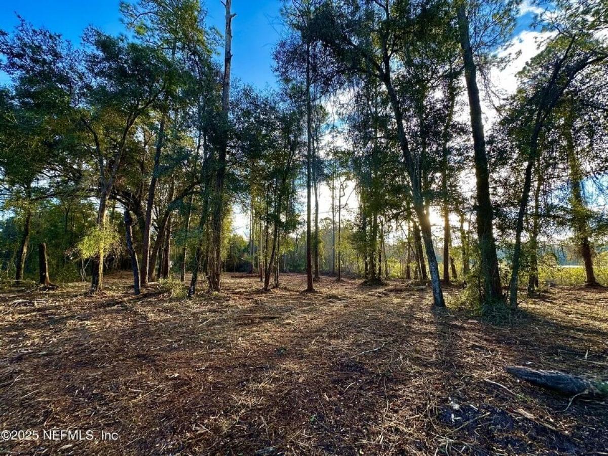 Picture of Residential Land For Sale in Palatka, Florida, United States