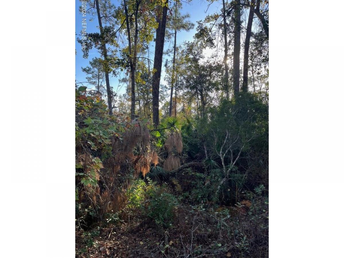 Picture of Residential Land For Sale in Crescent City, Florida, United States