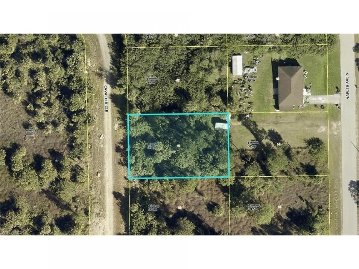 Picture of Residential Land For Sale in Lehigh Acres, Florida, United States