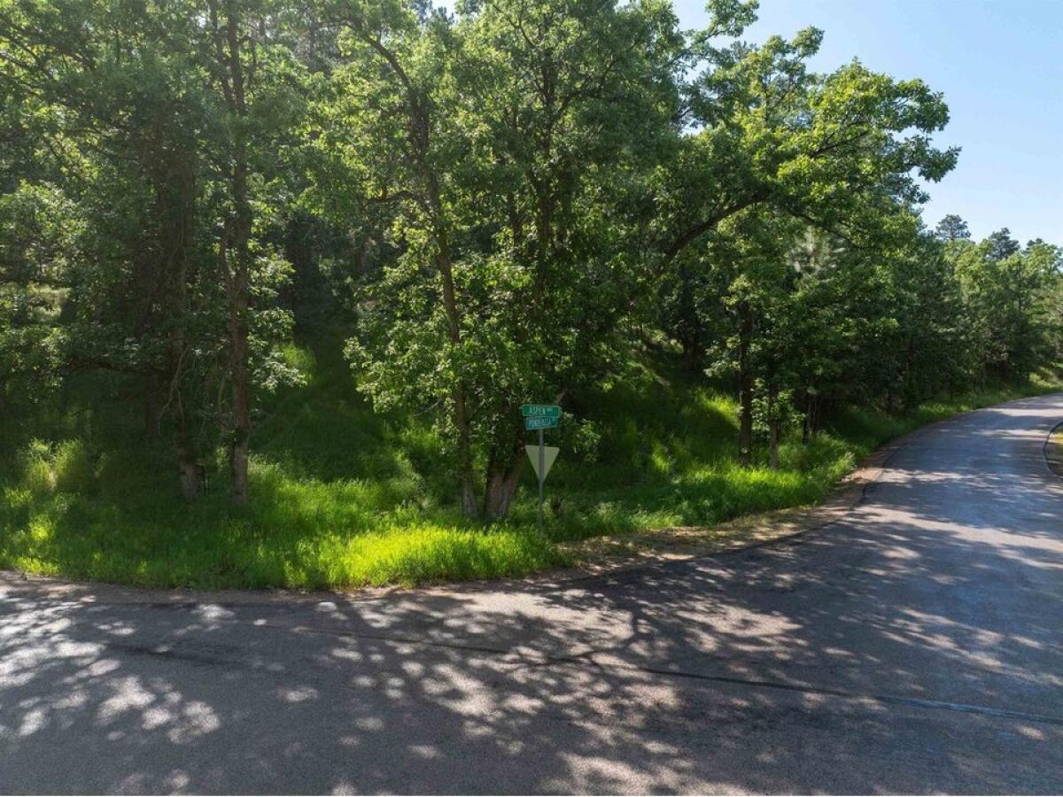 Picture of Residential Land For Sale in Whitewood, South Dakota, United States