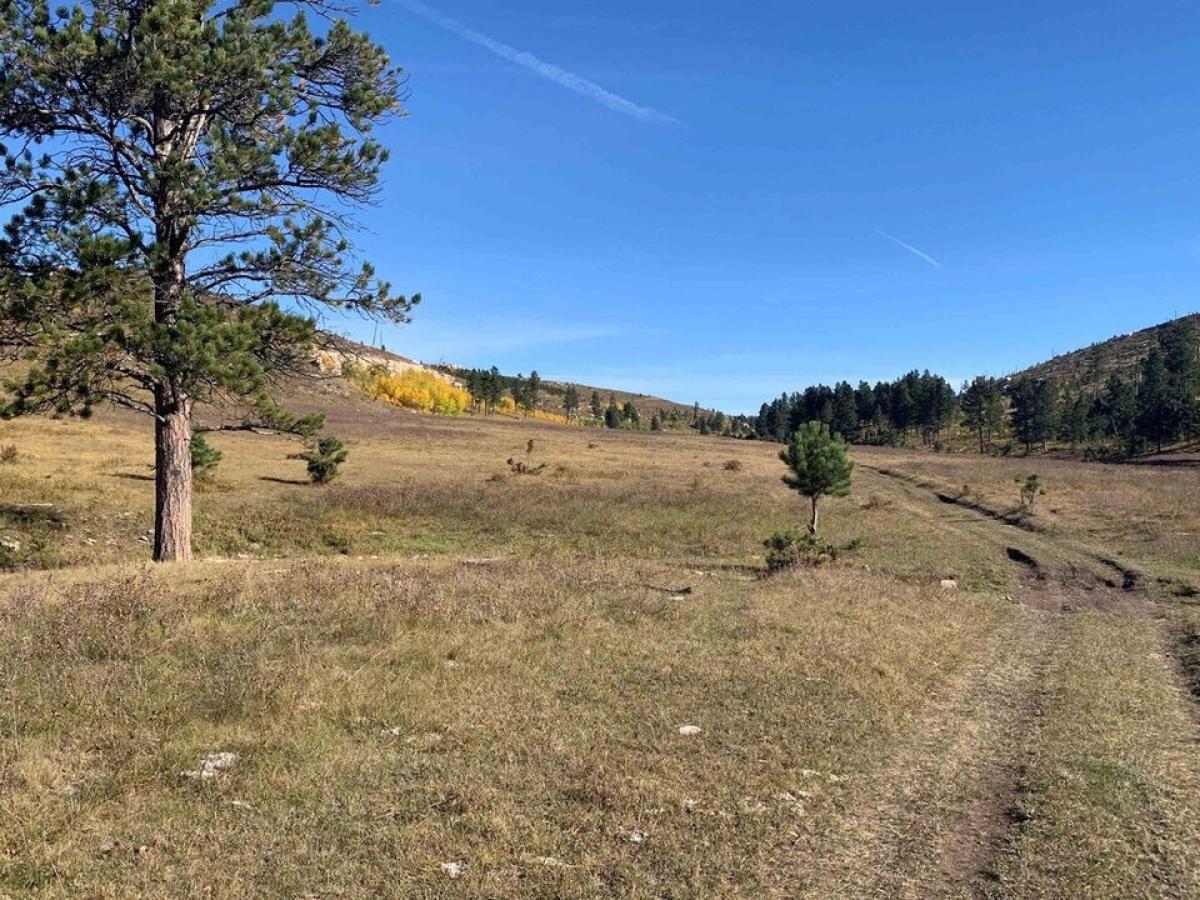 Picture of Residential Land For Sale in Custer, South Dakota, United States