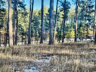 Residential Land For Sale in Custer, South Dakota