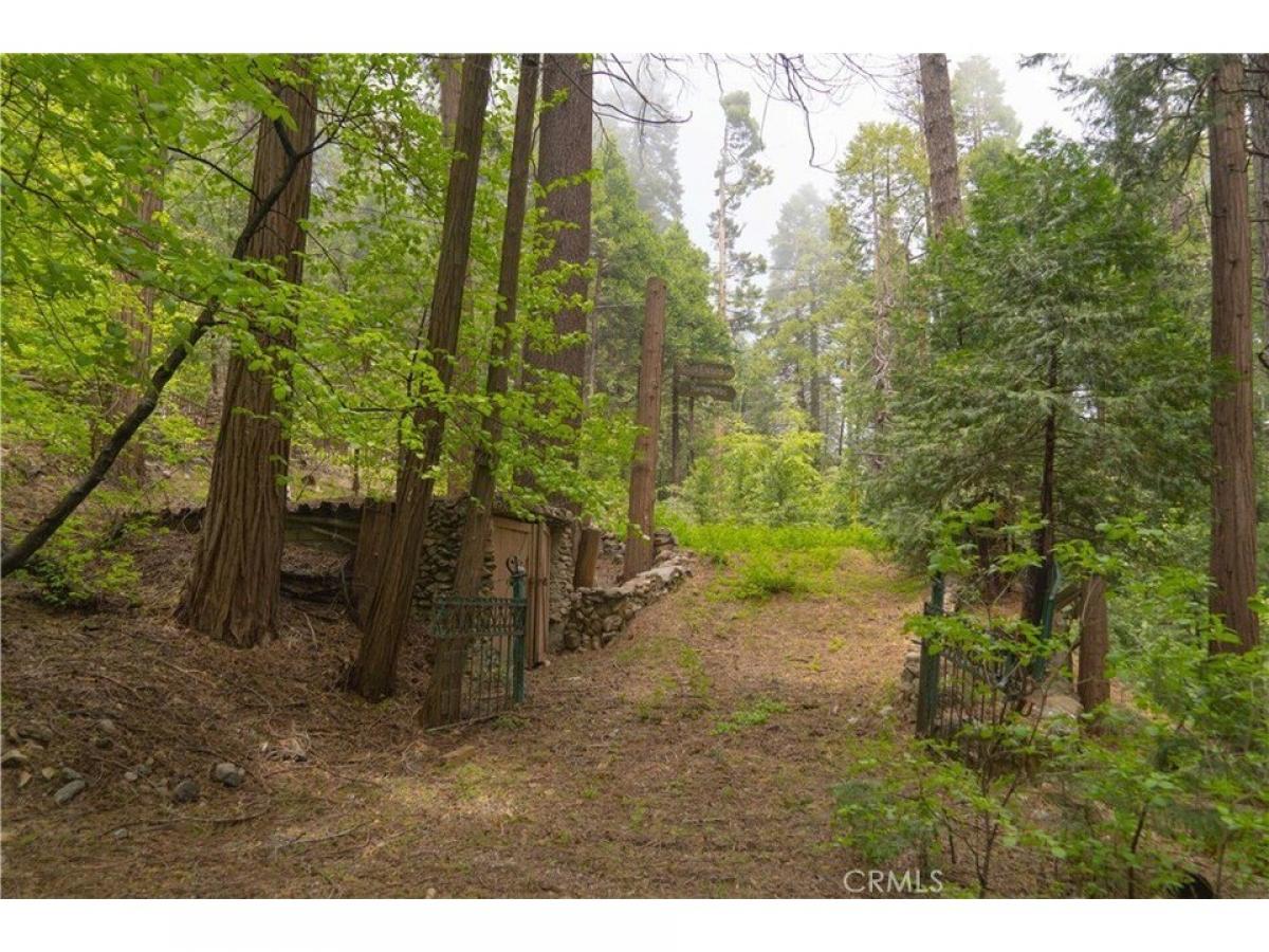 Picture of Residential Land For Sale in Blue Jay, California, United States