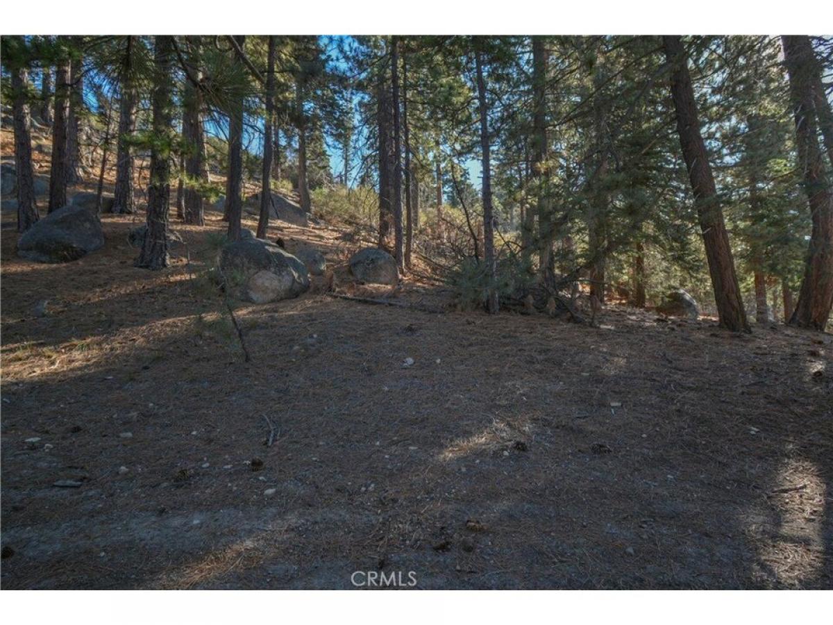 Picture of Residential Land For Sale in Running Springs, California, United States