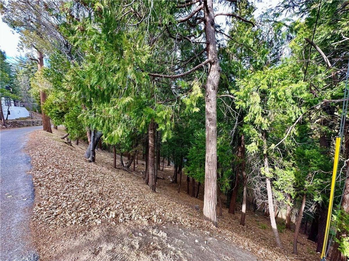 Picture of Residential Land For Sale in Lake Arrowhead, California, United States