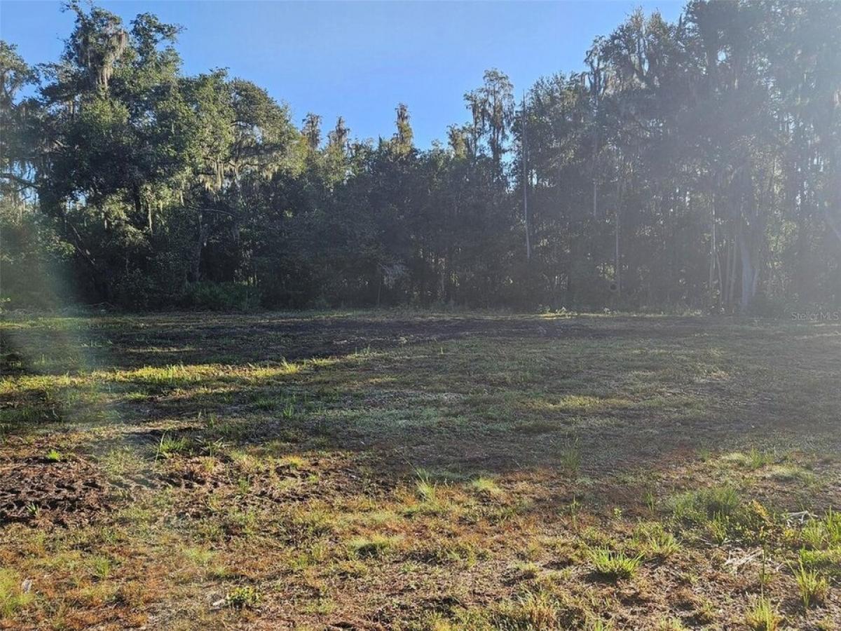 Picture of Residential Land For Sale in Plant City, Florida, United States