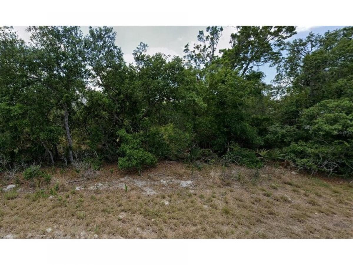 Picture of Residential Land For Sale in Lake Placid, Florida, United States