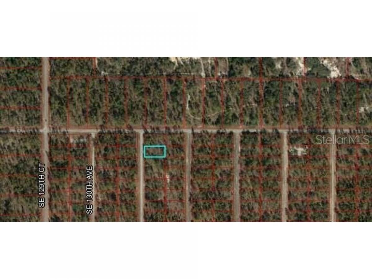 Picture of Residential Land For Sale in Dunnellon, Florida, United States