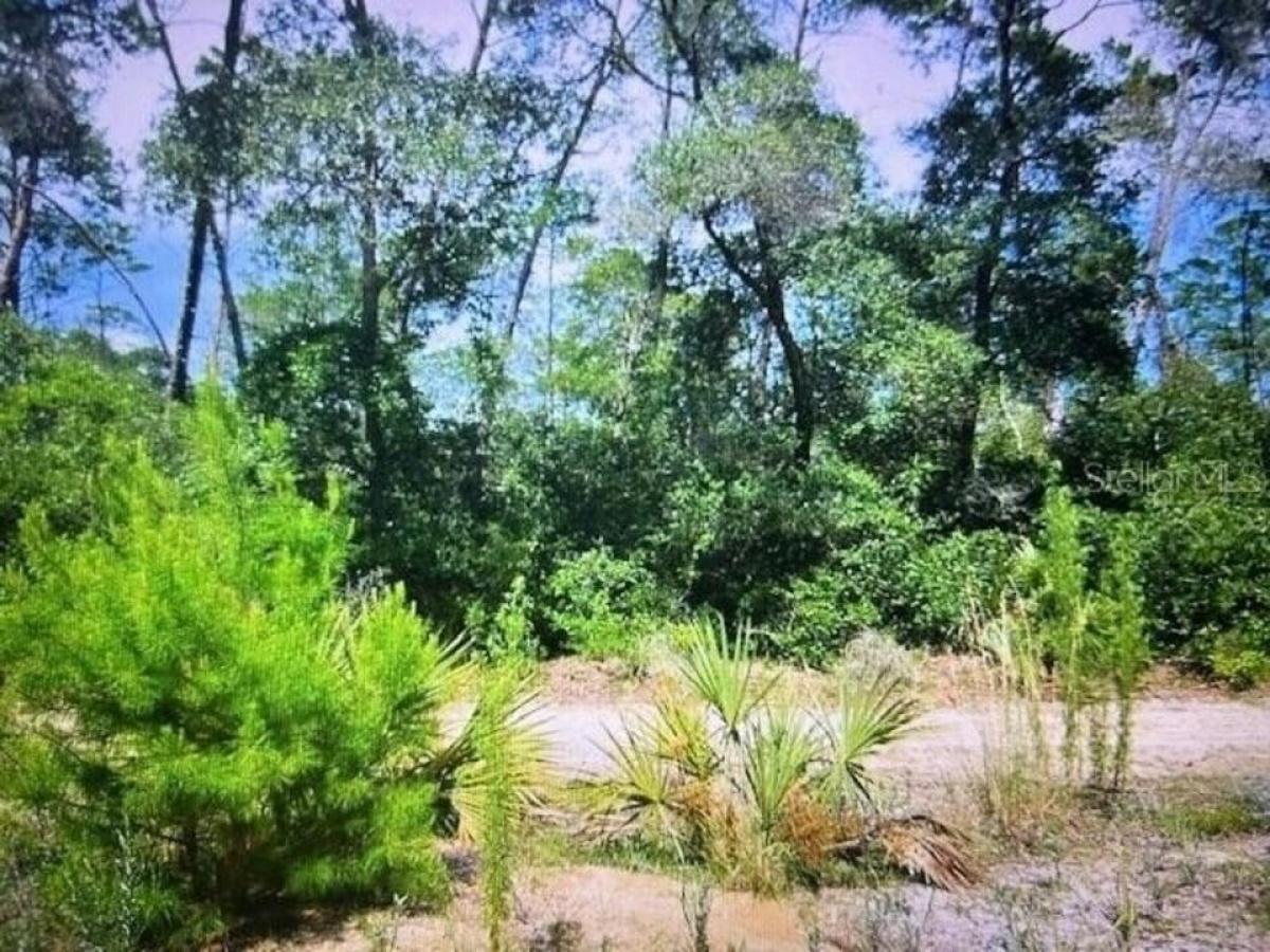 Picture of Residential Land For Sale in Fort Mc Coy, Florida, United States