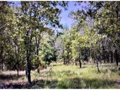 Residential Land For Sale in Williston, Florida