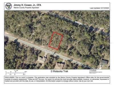 Residential Land For Sale in Ocklawaha, Florida