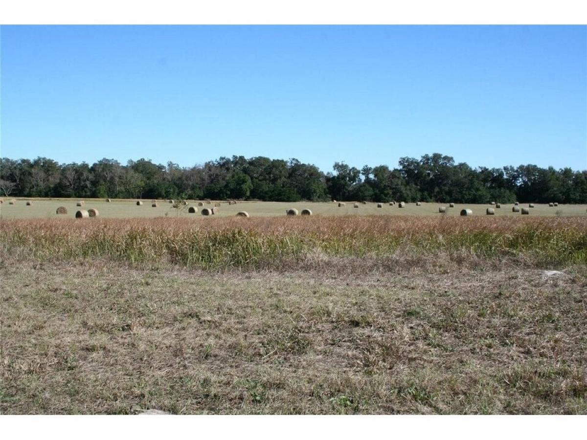 Picture of Residential Land For Sale in Summerfield, Florida, United States