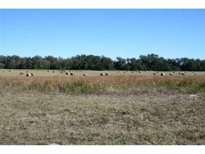 Residential Land For Sale in Summerfield, Florida