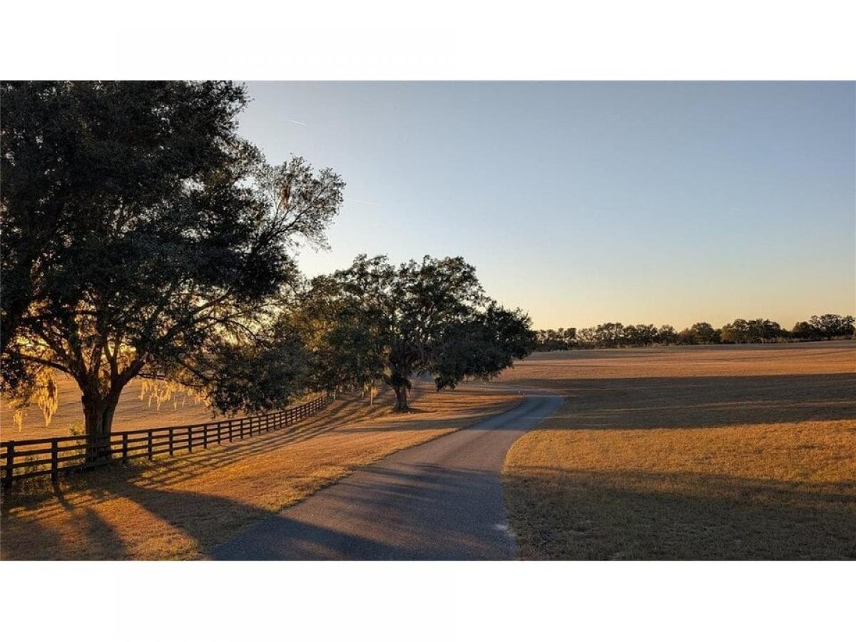 Picture of Home For Sale in Morriston, Florida, United States